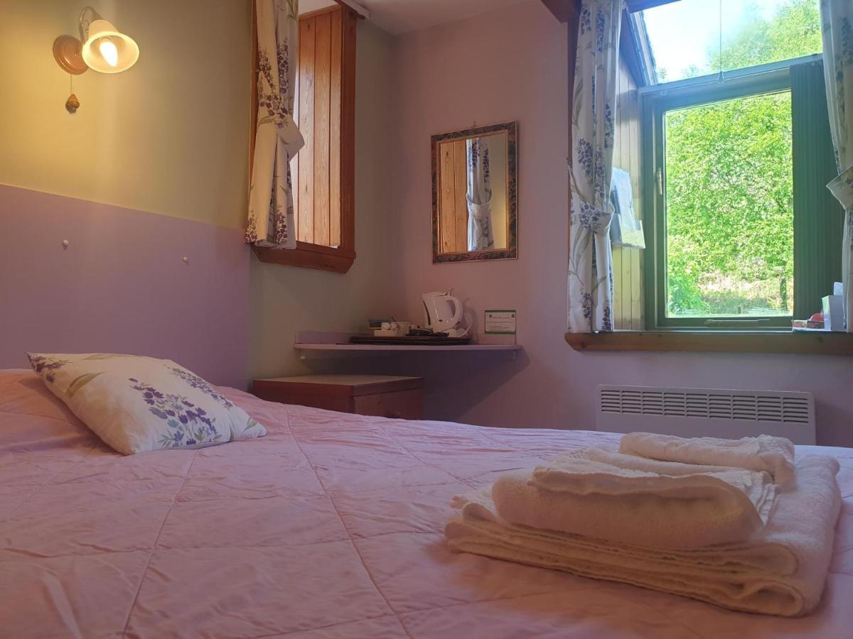 Affittacamere Bryn Elltyd Eco House Blaenau Ffestiniog Esterno foto