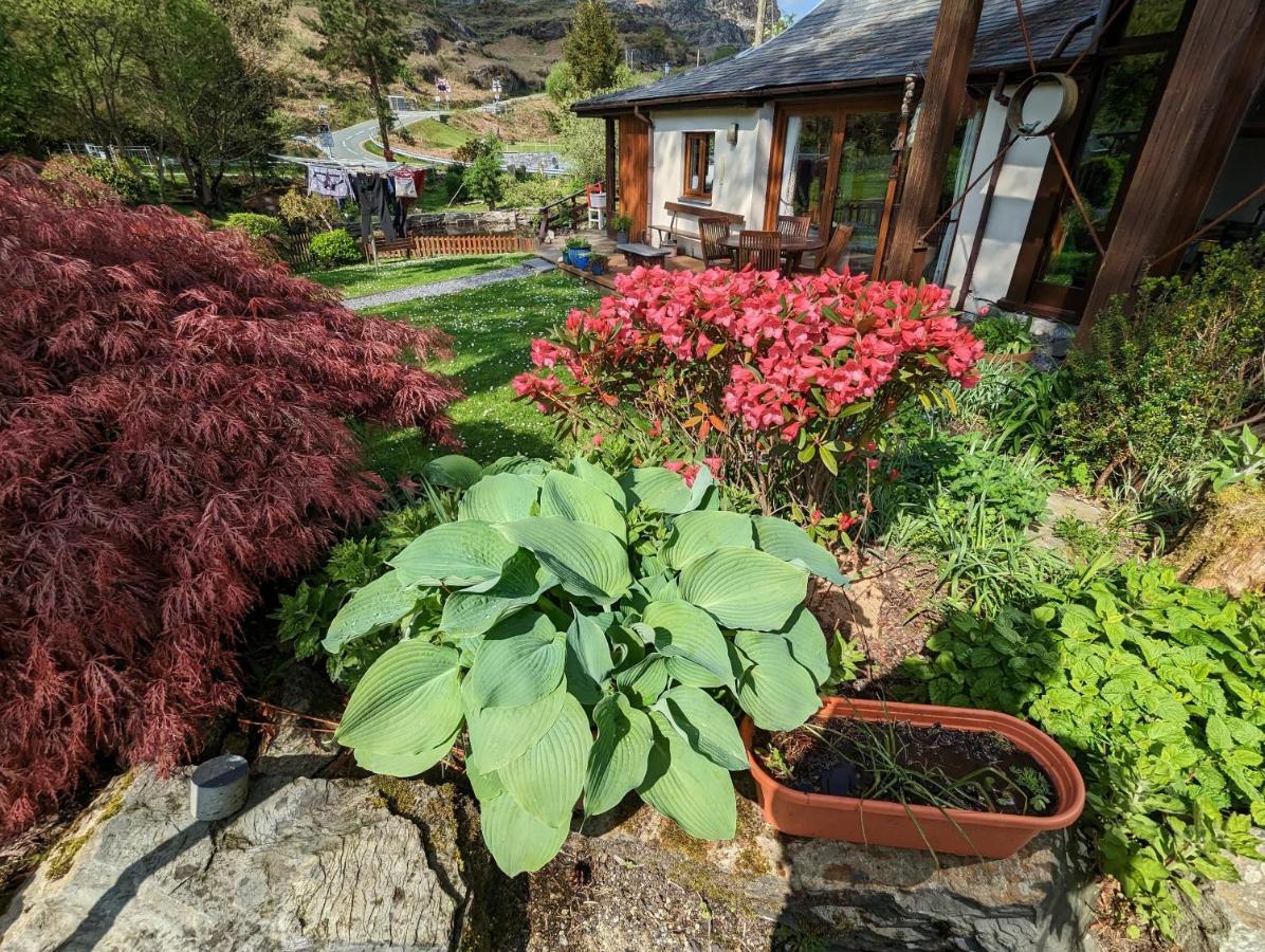 Affittacamere Bryn Elltyd Eco House Blaenau Ffestiniog Esterno foto