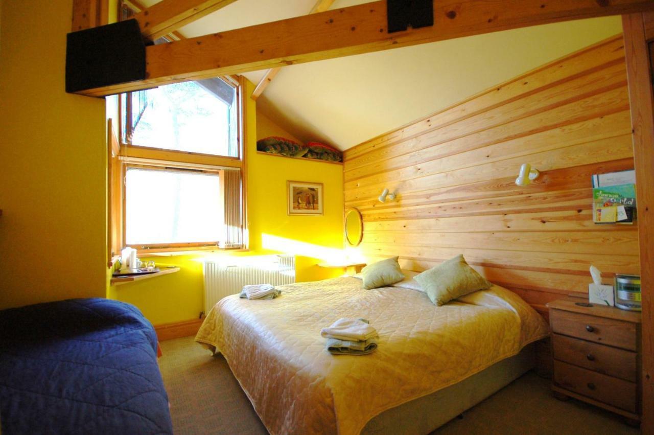 Affittacamere Bryn Elltyd Eco House Blaenau Ffestiniog Esterno foto